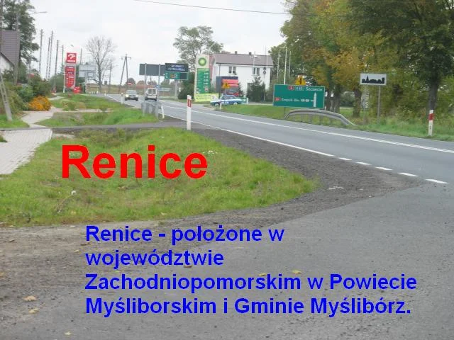 Zdjęcie z galerii